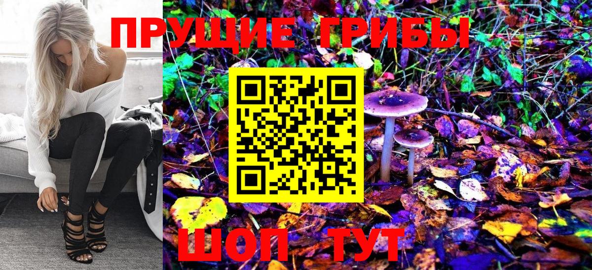 Псилоцибиновые грибы Magic Shrooms Котлас